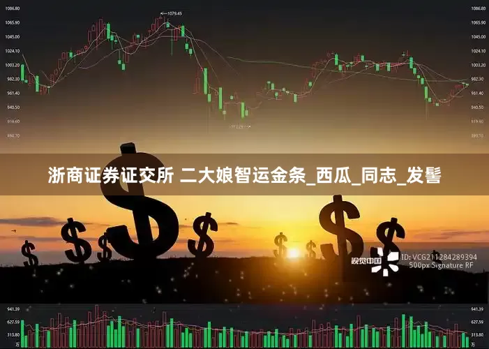 浙商证券证交所 二大娘智运金条_西瓜_同志_发髻