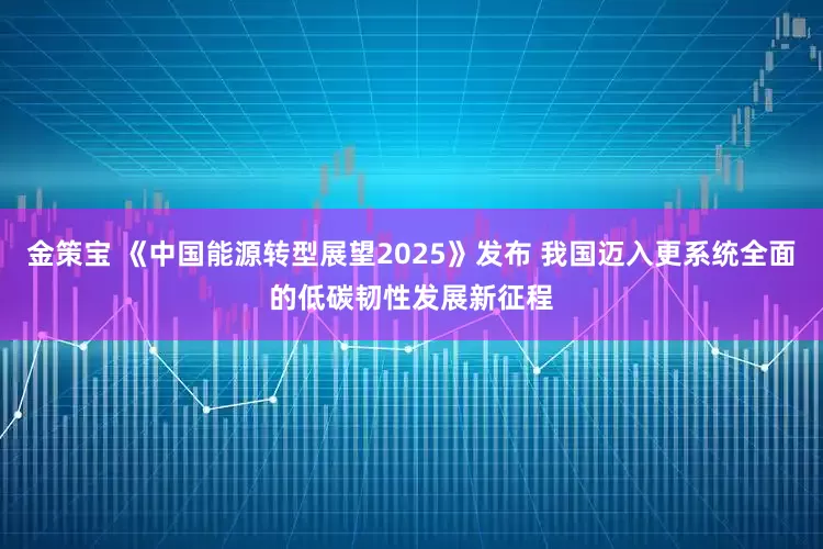 金策宝 《中国能源转型展望2025》发布 我国迈入更系统全面的低碳韧性发展新征程
