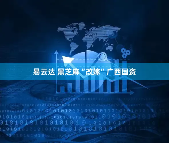 易云达 黑芝麻“改嫁”广西国资